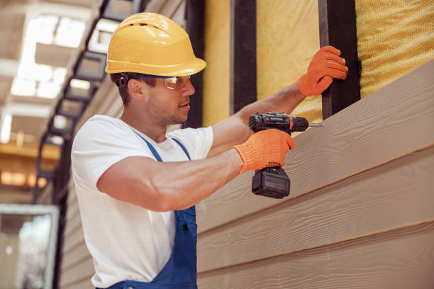 Best Aluminum Siding Installation  in Carbon Cliff, IL
